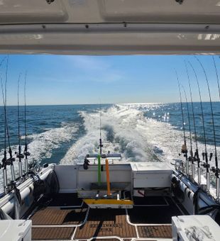 Lake Erie trolling setup ready for walleye fishing