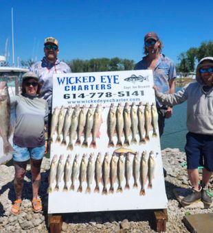 Outstanding walleye limits caught in Marblehead OH!