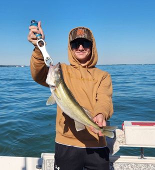 Impressive walleye fishing catch