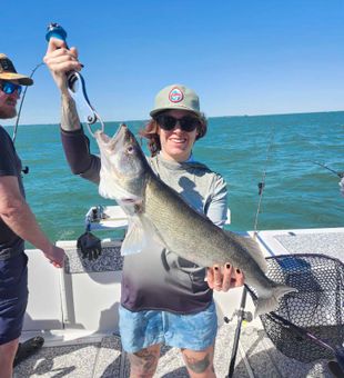 Nice Marblehead walleye caught on the water!