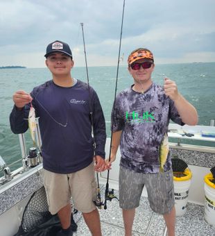 American Yellow Perch action from Marblehead waters!