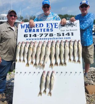Walleye action on steady bite around lakeside Marblehead, port Clinton Ohio.#Putinbay 