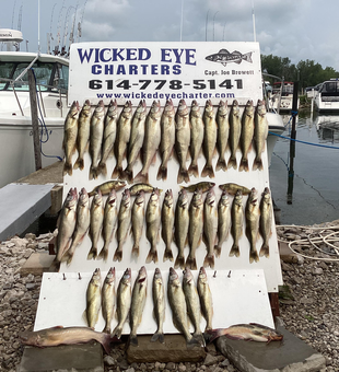 Four feisty blue catfish reeled in during a wet but clearing day on the water!
