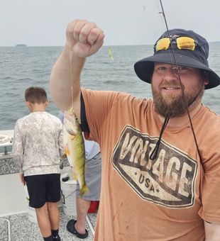 Fresh American Yellow Perch from Marblehead waters!