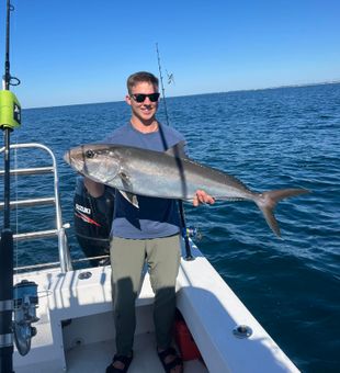 Greater amberjack from Okaloosa Island waters!