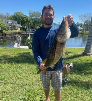 Bent rod, big snook! Living the salt life.