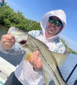Captain's favorite spot. Snook Fishing near Port Richey