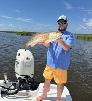 Big Redfish caught in Lafitte, LA!