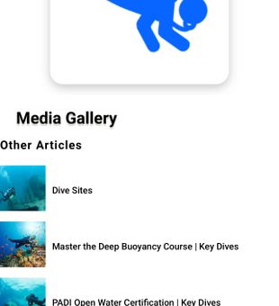 Dive into adventure with professional scuba diving experiences.