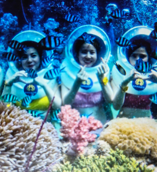 Exciting dive adventure exploring vibrant coral reefs and marine life!