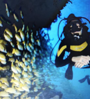 Amazing underwater adventure with a massive school of fish!