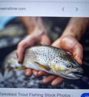 Fly fishing for sea trout in Mumbai's rainy, cloudy skies!
