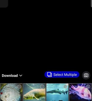 guide gallery