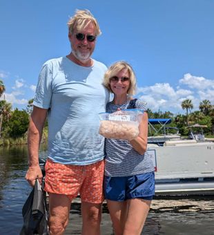 Fresh scallop harvest success in Crystal River FL!
