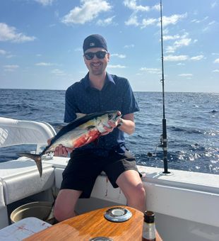 Awesome Blackfin Tuna catch on Jupiter charter!