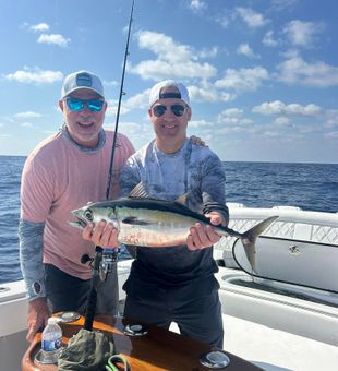 Exciting Blackfin Tuna catch offshore Jupiter!