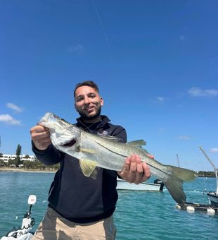 Strong Snook bite on Jupiter charter!