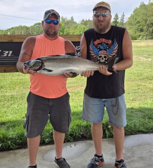 Coho surprise on the rigger