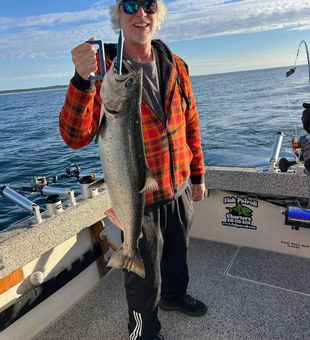 King salmon run underway