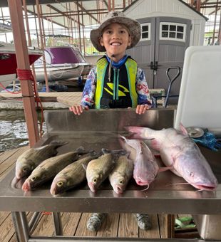 Happy Levi with hefty striped bass and catfish!