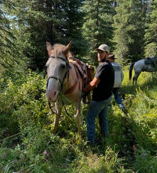Trophy elk await in the rugged backcountry.