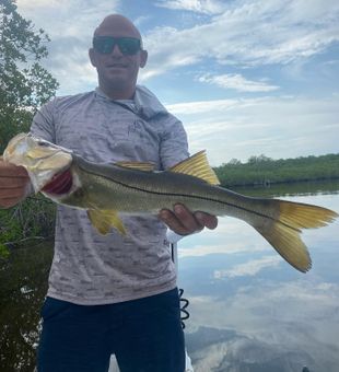I took the snook out of the Florida waters.