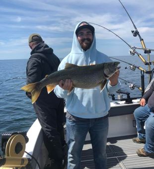 Lake Trout from Lake Michigan