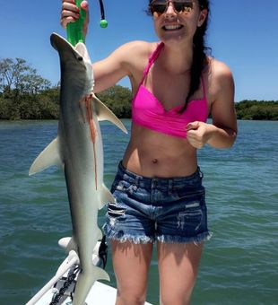 Shark encounters in Florida waters