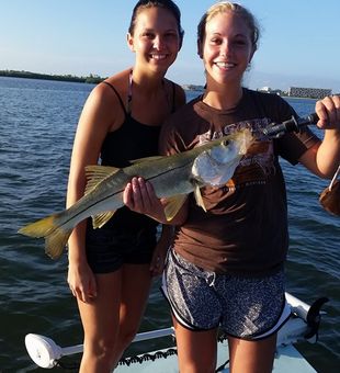 Snook Bliss, Florida Vibes