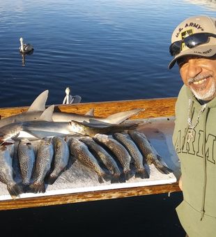 Tampa fishing charters