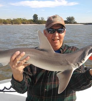 Shark fishing in Tampa