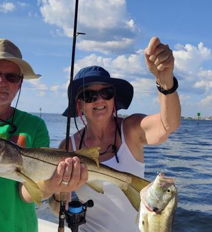 Quality snook and jack crevalle catch