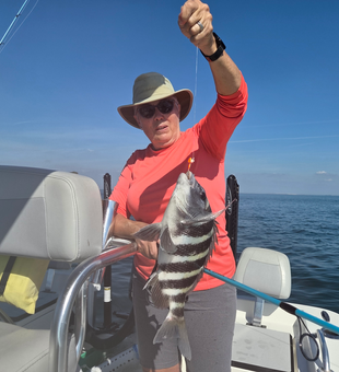 Nice sheepshead caught using deep sea jigging techniques in clear conditions!