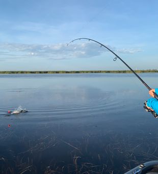 Scenic fishing day in Fellsmere waters