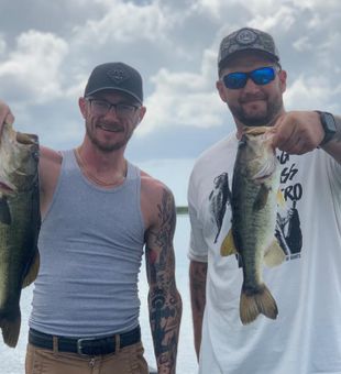 Catching Largemouth Bass in Fellsmere