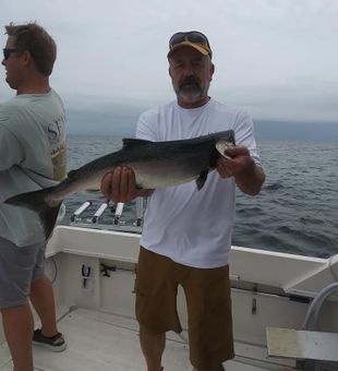 Feisty Coho Salmon on Lake Ontario action!