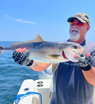 The Jig is Up: Your captain to FWB's treasures!