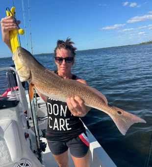 Redfish Bites In Spring Hill