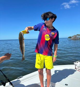 Best Spring Hill Redfish Fishing Spots