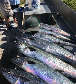 Explore Pensacola Beach on the water