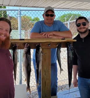 Good time Fishing Lake Michigan