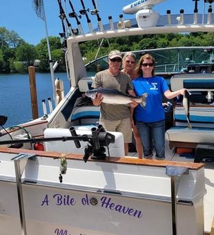 Lake Michigan Fishing Charter