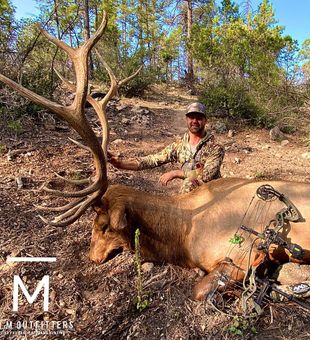 a majestic buck claims its ridge