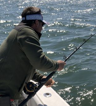 Easygoing trip with just enough action