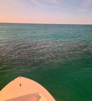 Perfect evening on the water in Virginia Beach.