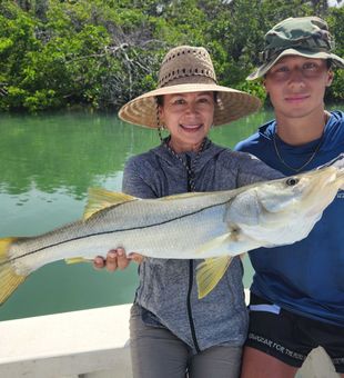 Nice snook