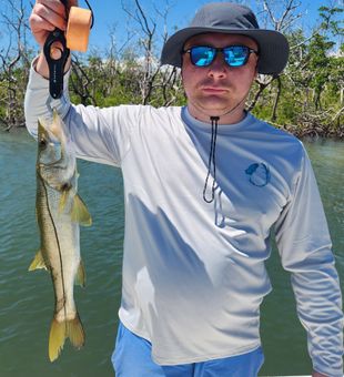 Clean snook under clear skies!