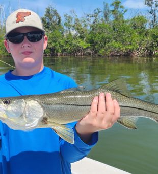 Beautiful snook on a sunny day!