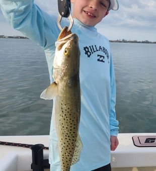 Nice speckled trout from Englewood FL waters!