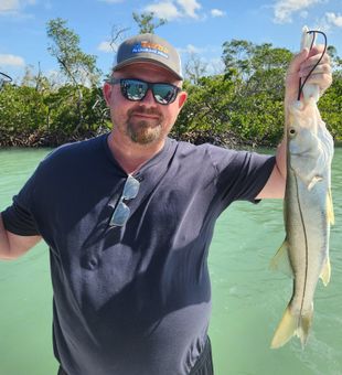 Strong Snook catch in shallow Florida waters!